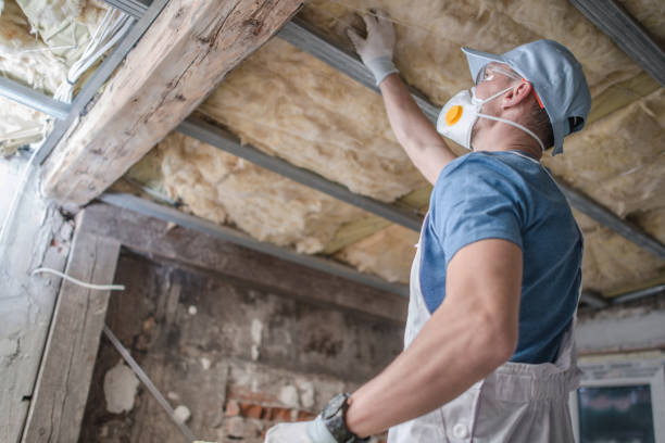 Best Insulation for New Construction  in Huntington Bay, NY