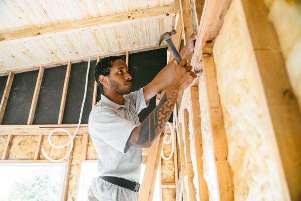 Best Insulation for New Construction  in Huntington Bay, NY